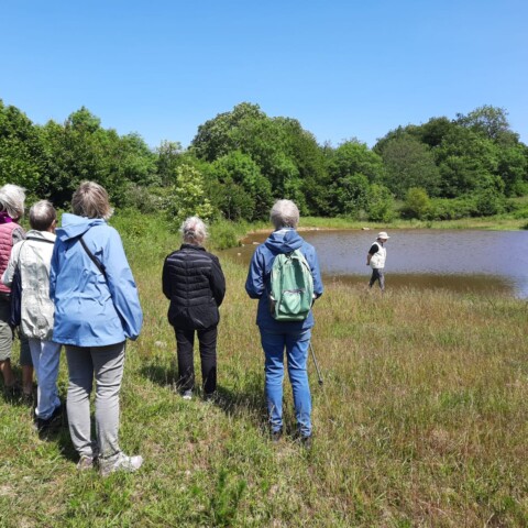Udflugt til Pellegård, Naturgenopretningsprojekt.