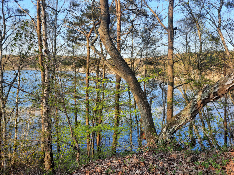 Pyritsøen og Lertippen.